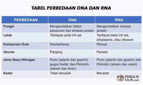 tabel perbedaan dna dan rna